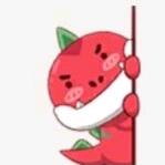 🌈快乐的小拨鼠⭐