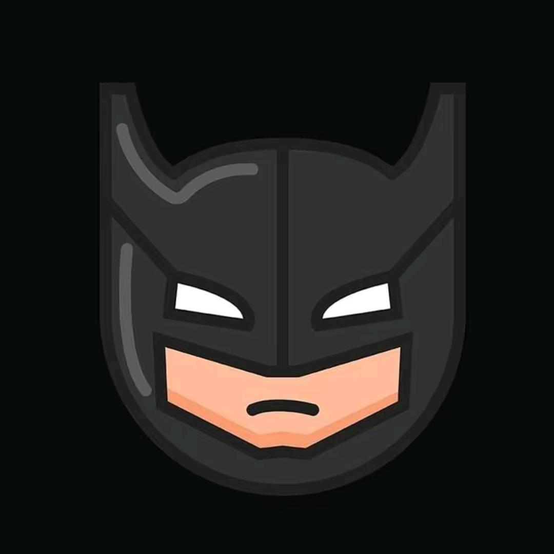 蝙蝠侠（拒绝内耗版）