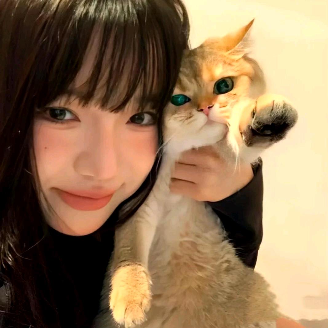 栖云甄选