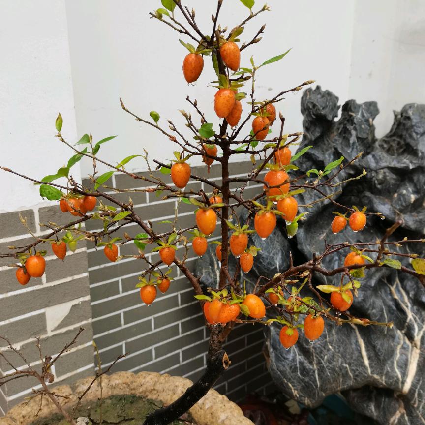 开心我你