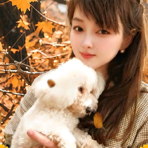 安好🌸