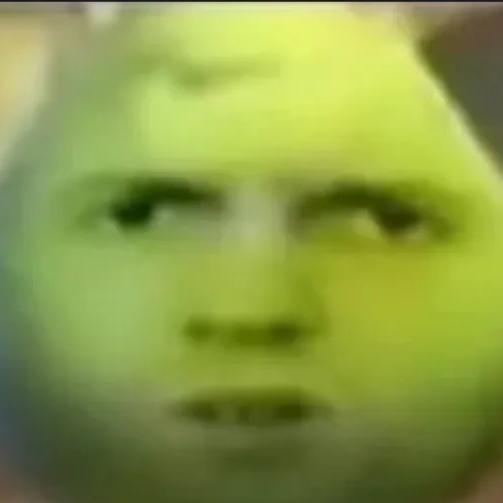 ᅟᅟㅤᅟ