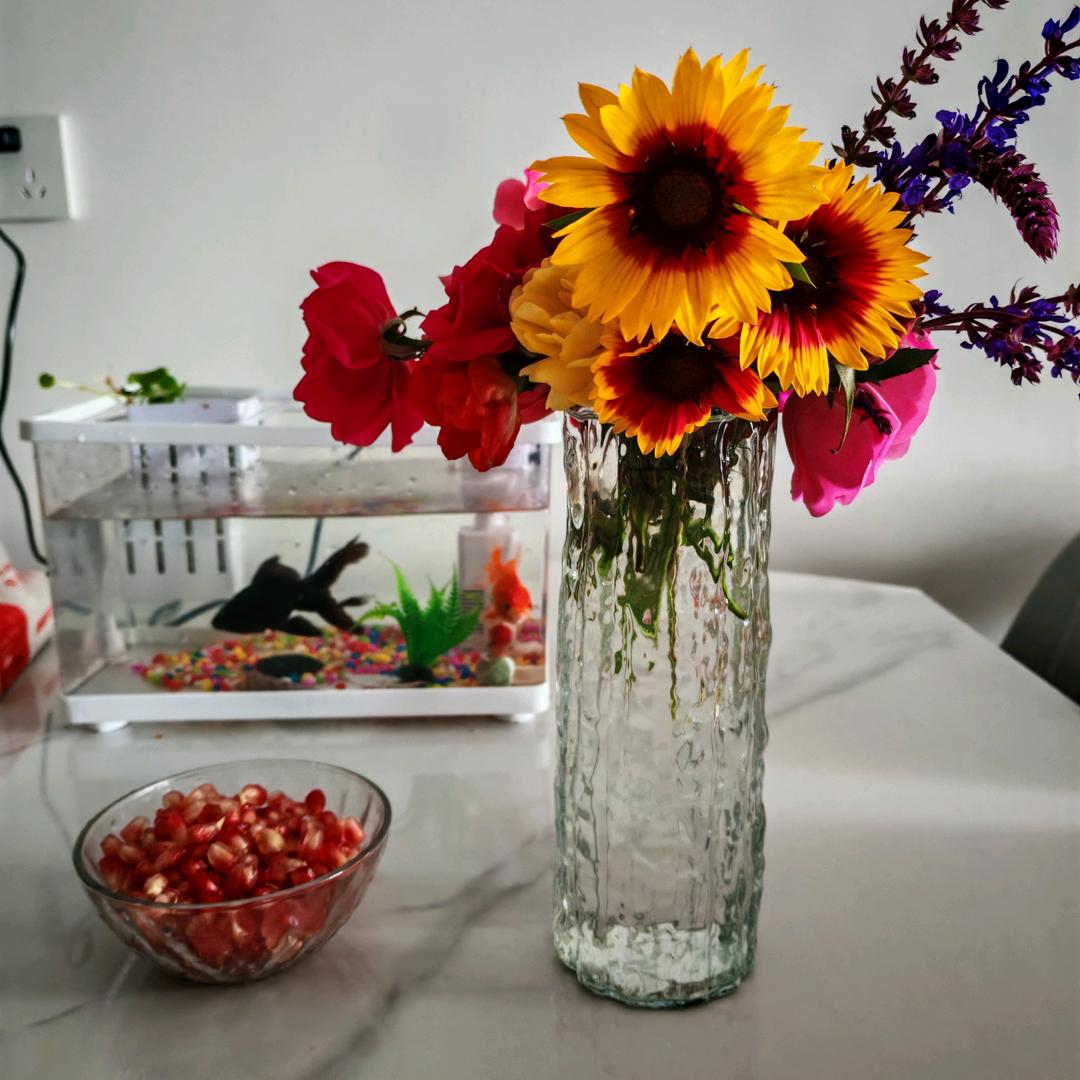 💕张家💦二小姐