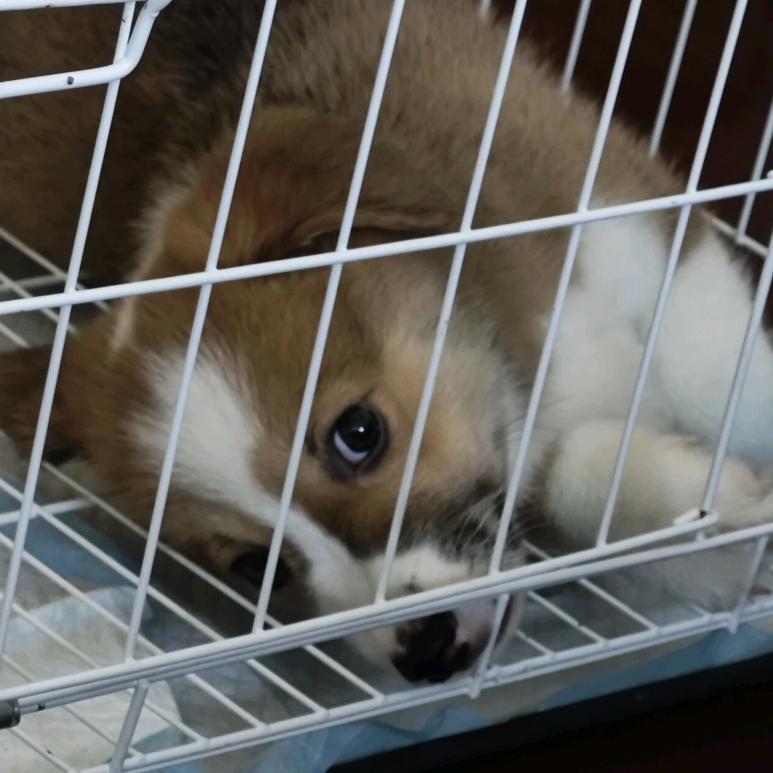 在家里睡就不会被打扰了丶