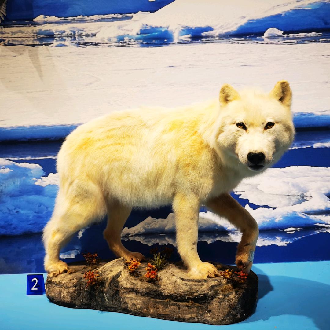 名字30天可修改4次