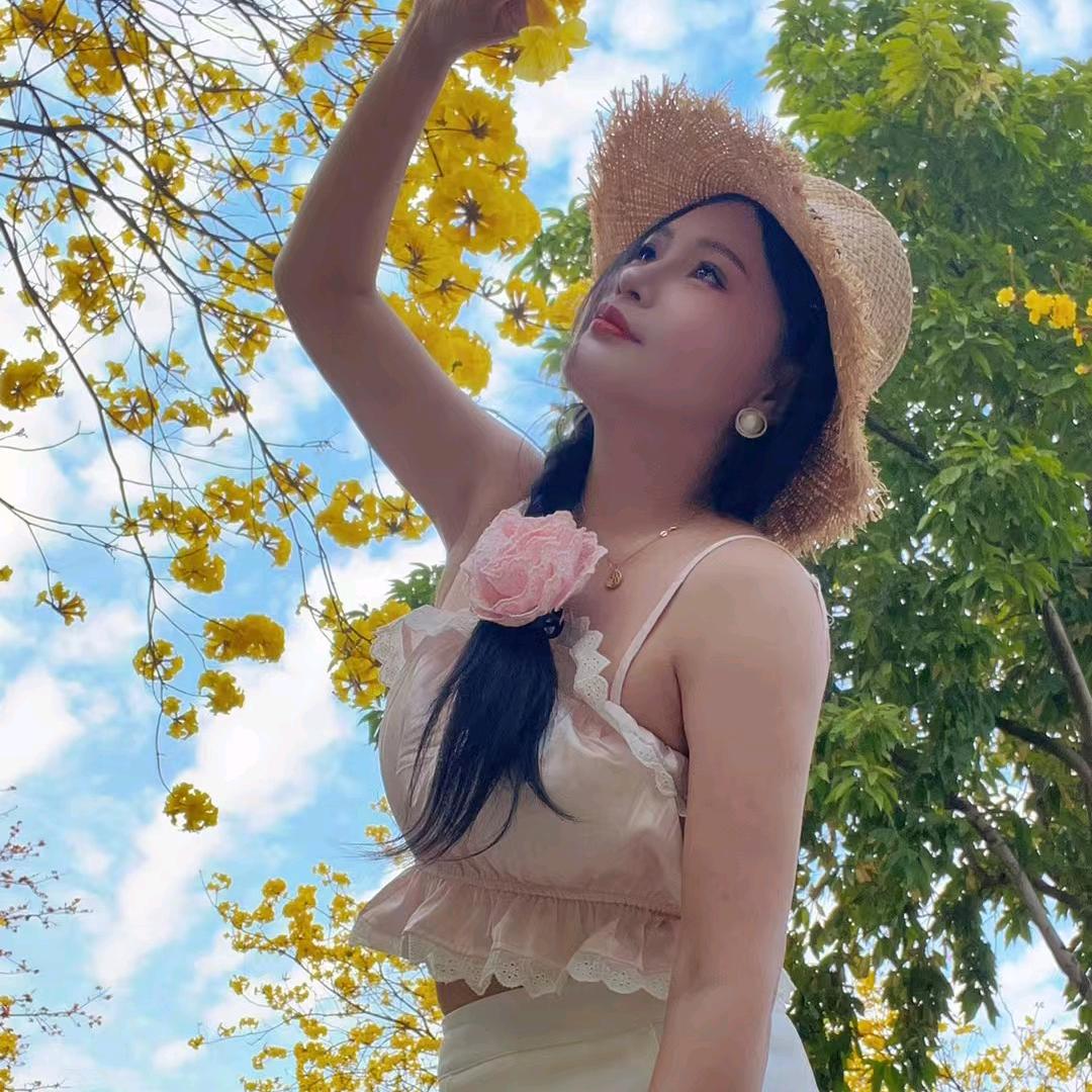 紫菱
