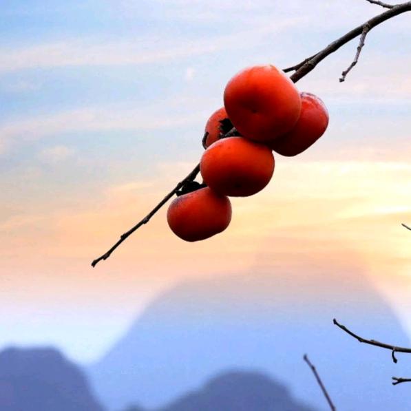 莫回眸——朝前走