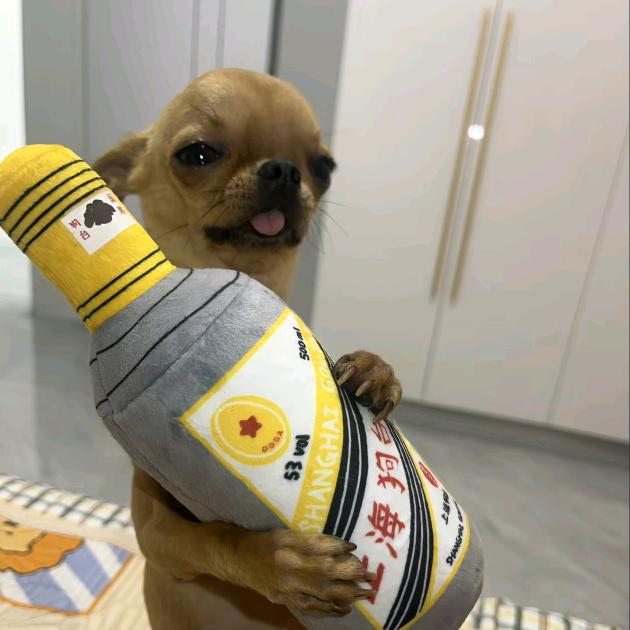 纯三