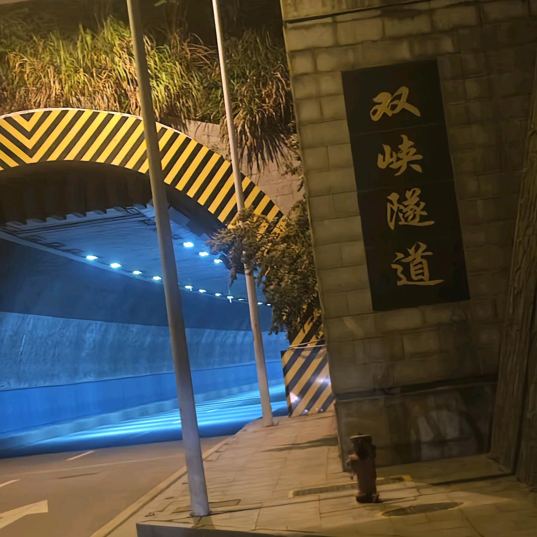 冷的只是天气