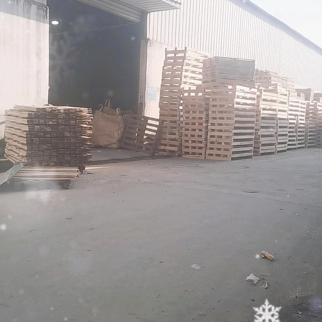 开心快乐每一天🌻