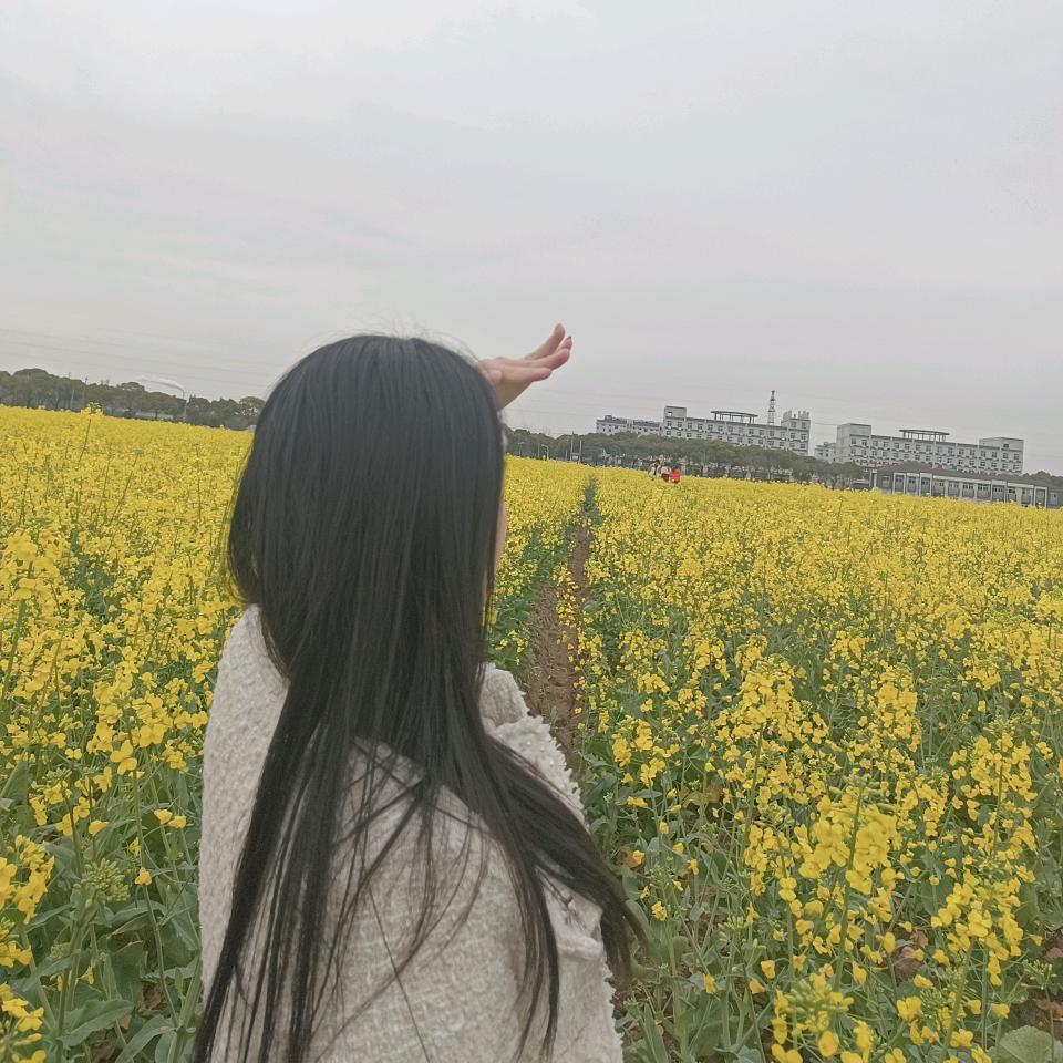 请叫三公主