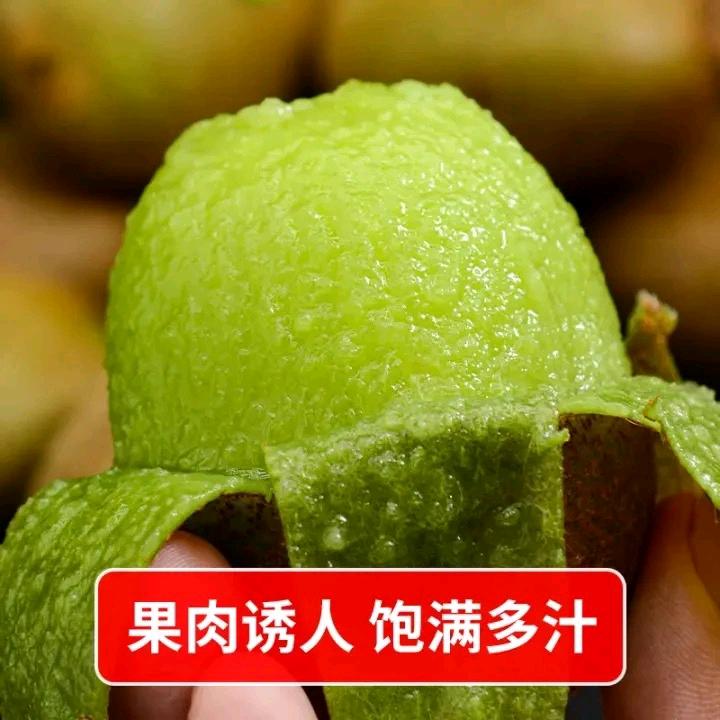 寻味三秦（猕猴桃）