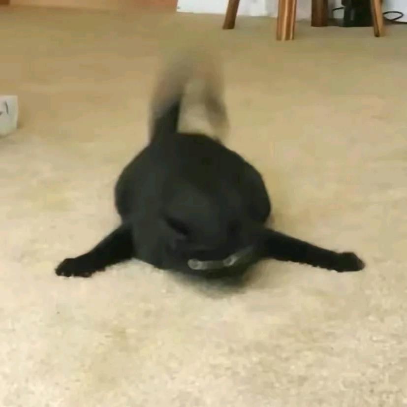 awei