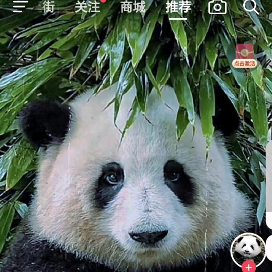 文ge..ni..hao
