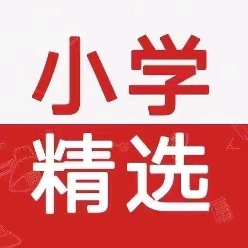 六年级拔尖资料