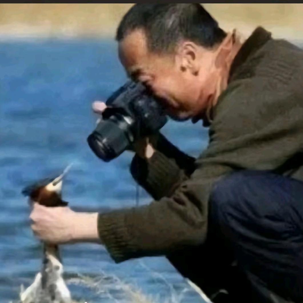 珀斯不在拍照