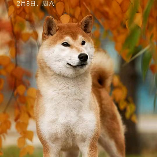 🌹幸福🌺美满🌹