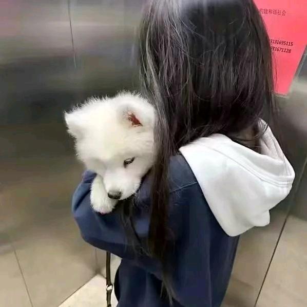 林º