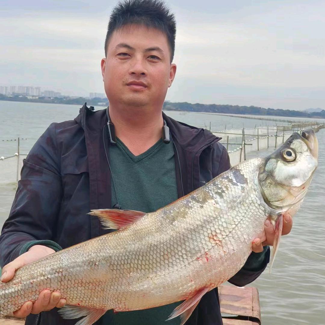 仙女湖生态捕捞队