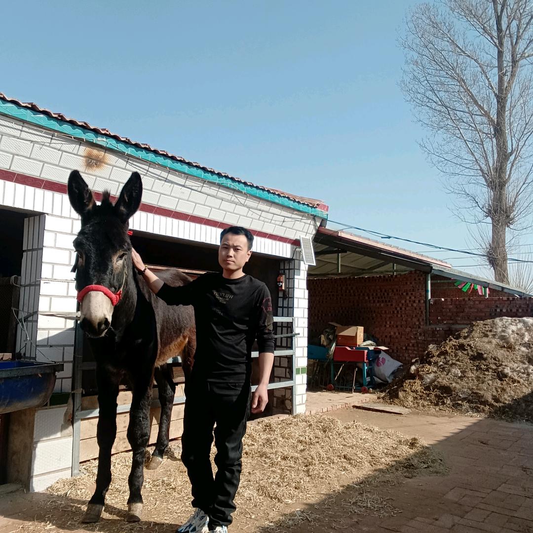 单身小伙🙏🙏