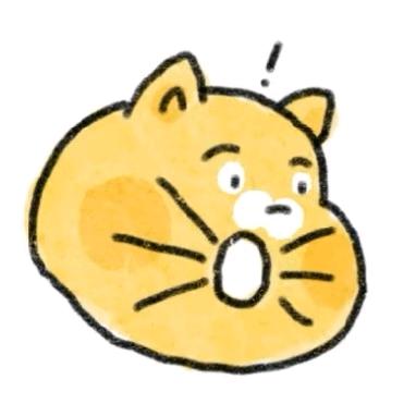 橘子猫