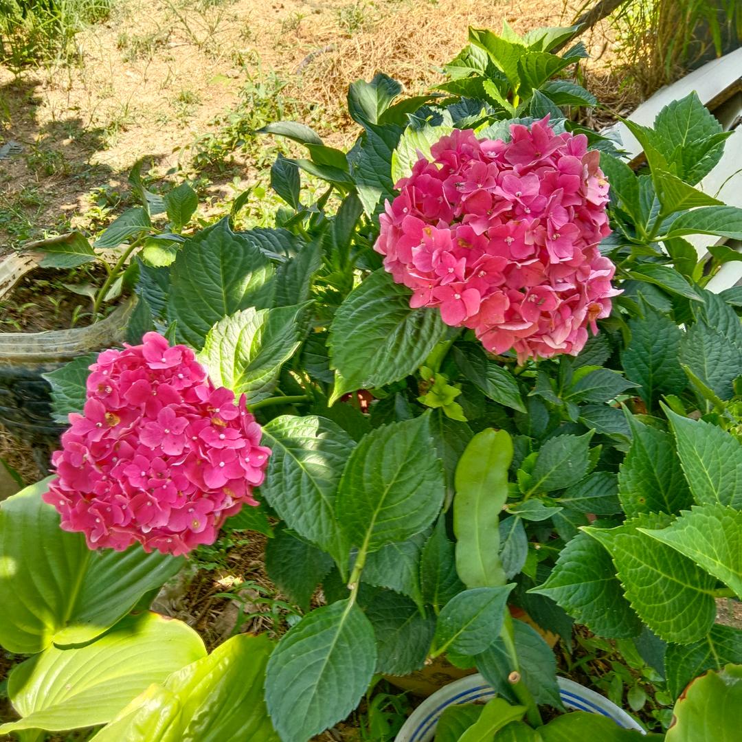 最美爱情