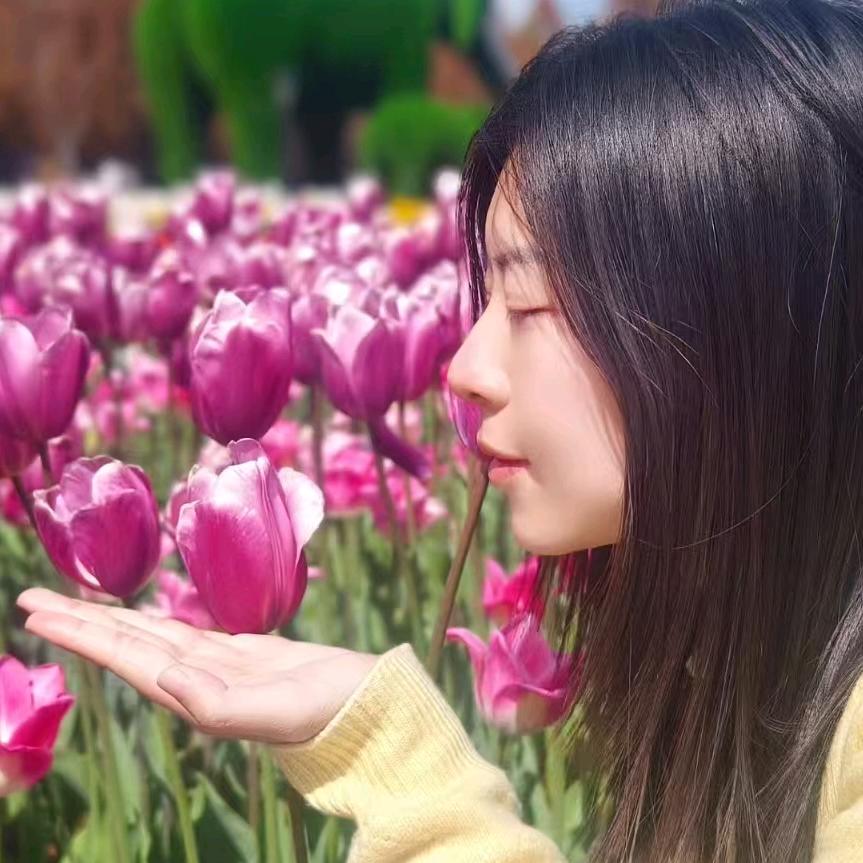 nancy公主爱玫瑰