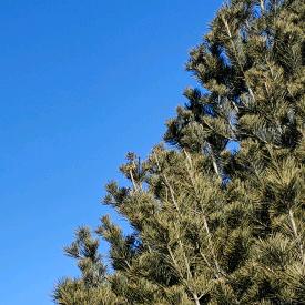 AAA汽配批发刘总