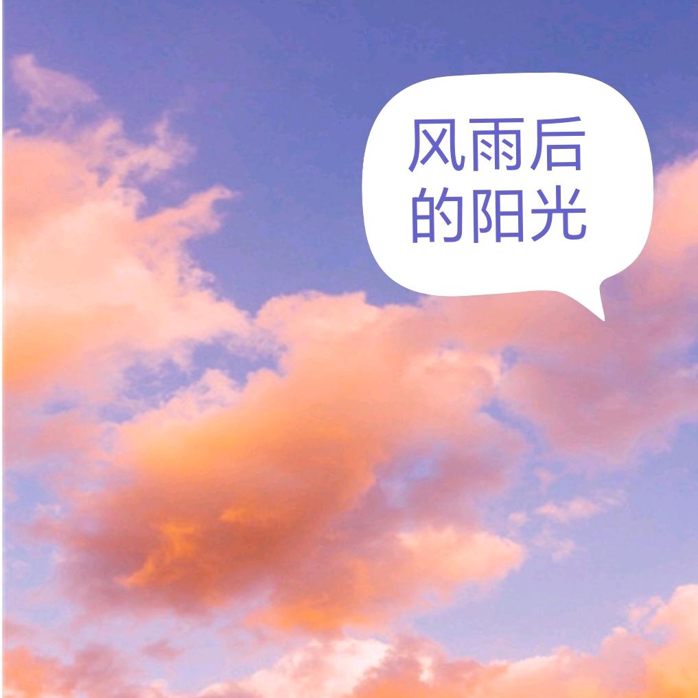 风雨后的阳光