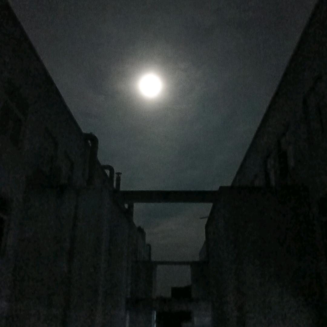 午夜梦回