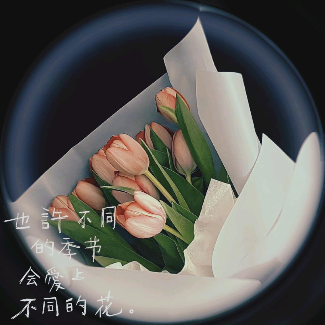 芙晓咖啡