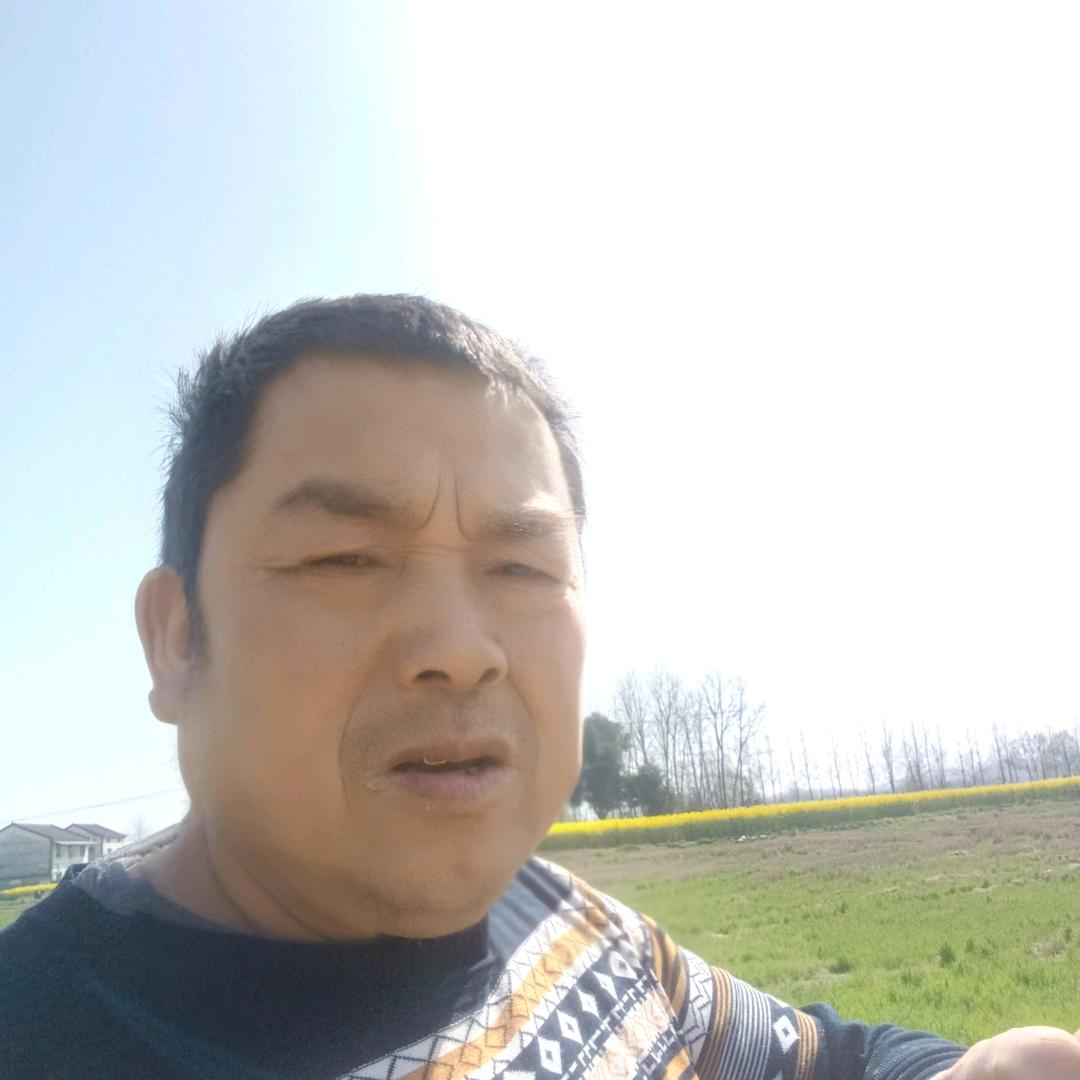 汪全好