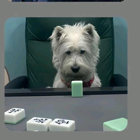 小新在｛福建｝