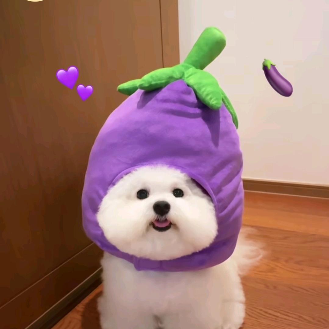 小沐
