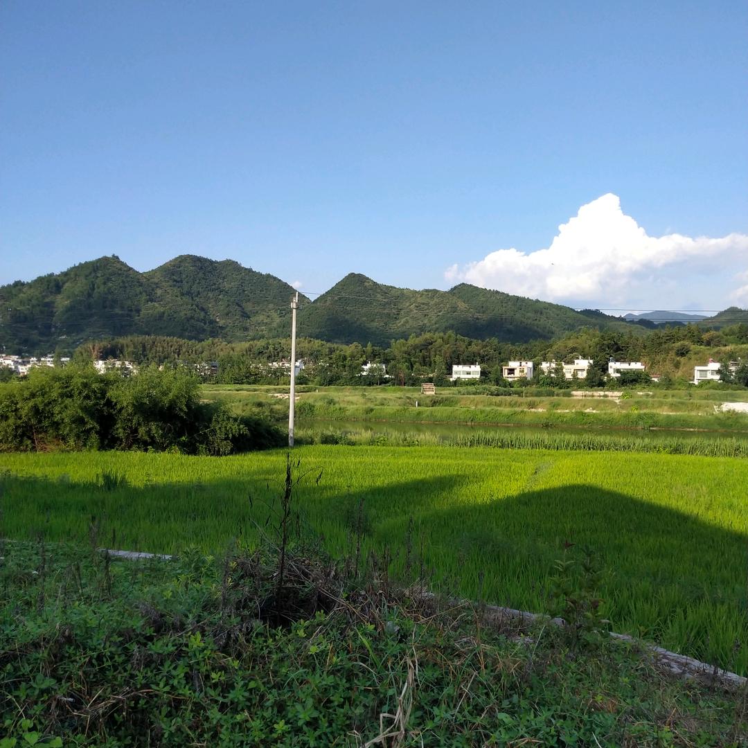 潮流风暴