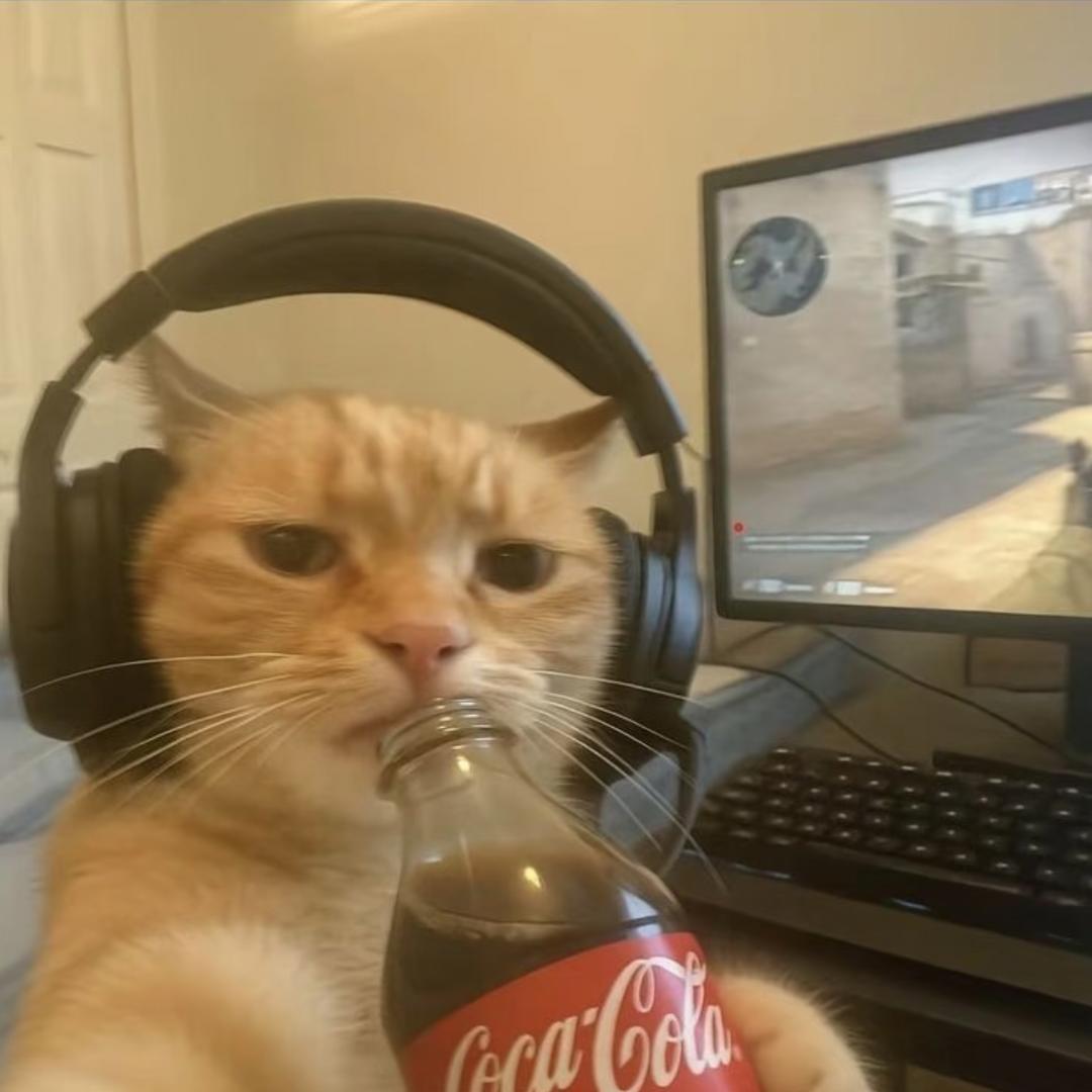 Jesse