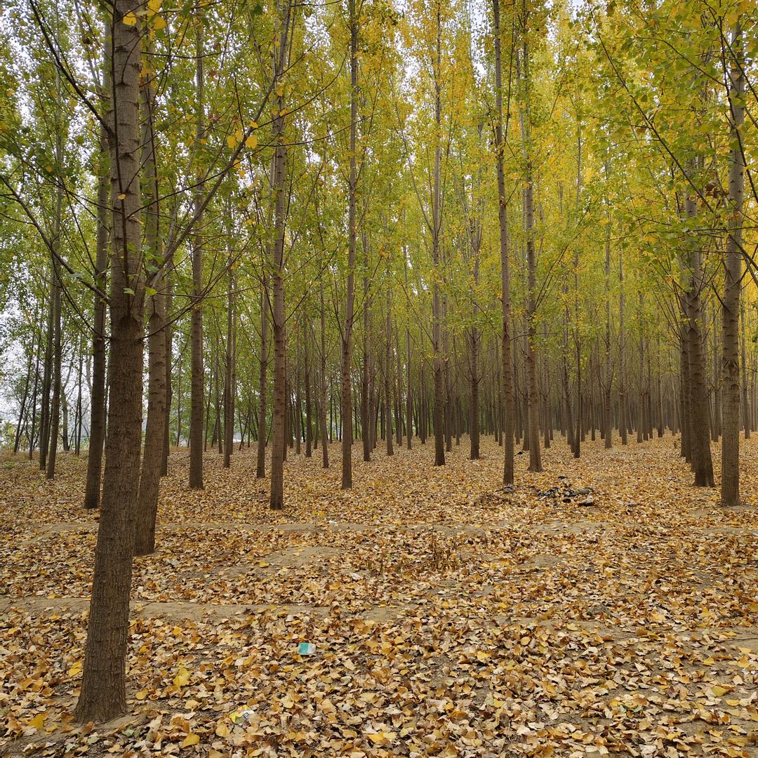 瑞瑞&佳佳's Mummy