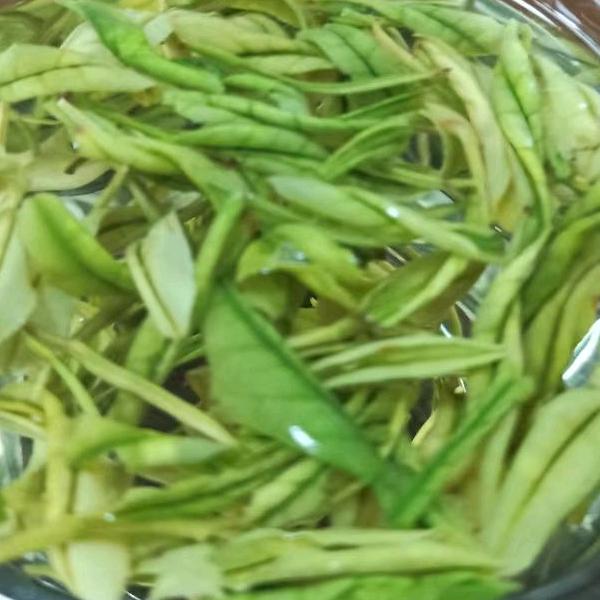 麦穗🎣🐟