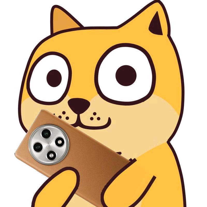 oppo政和路丹尼斯店叶子