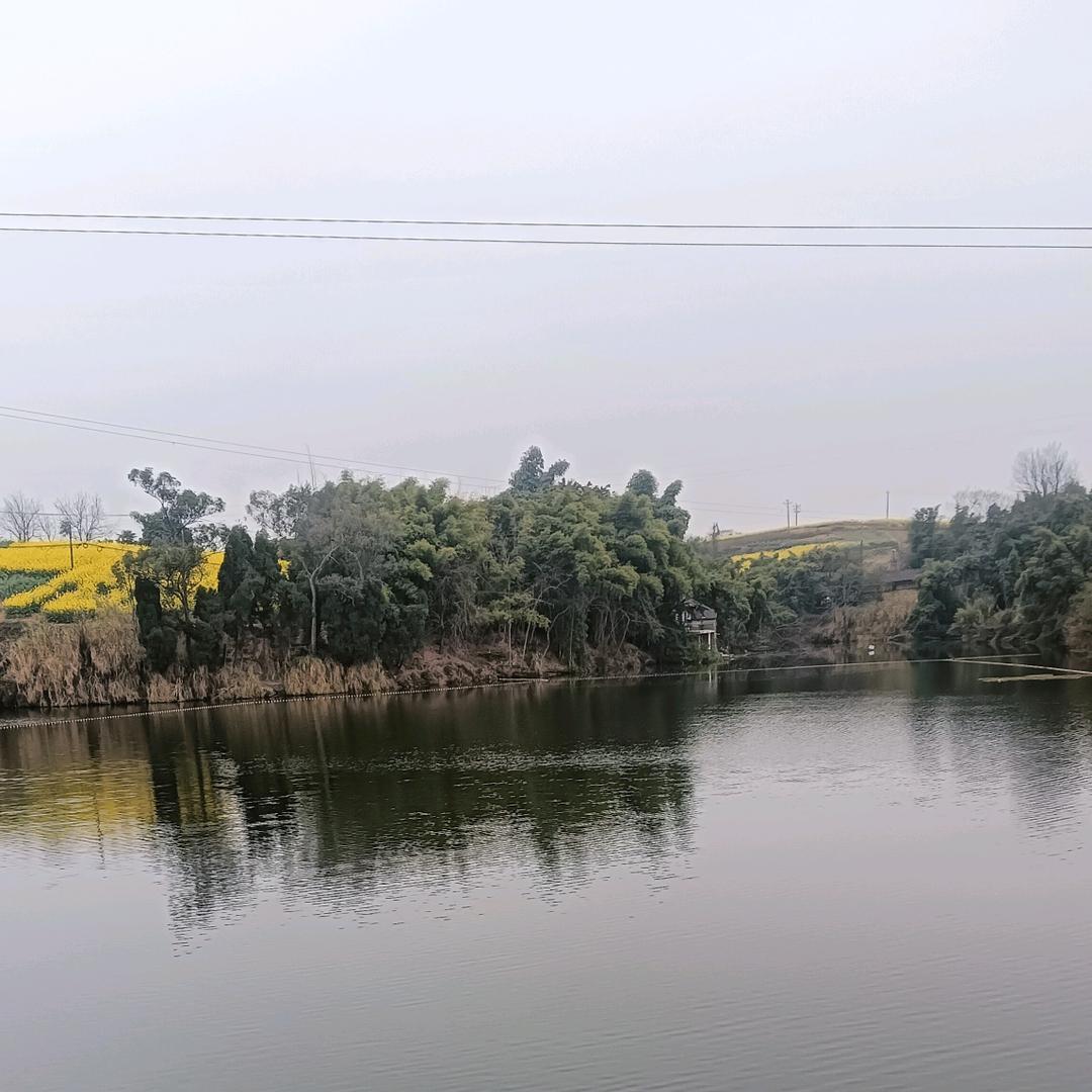 奔跑