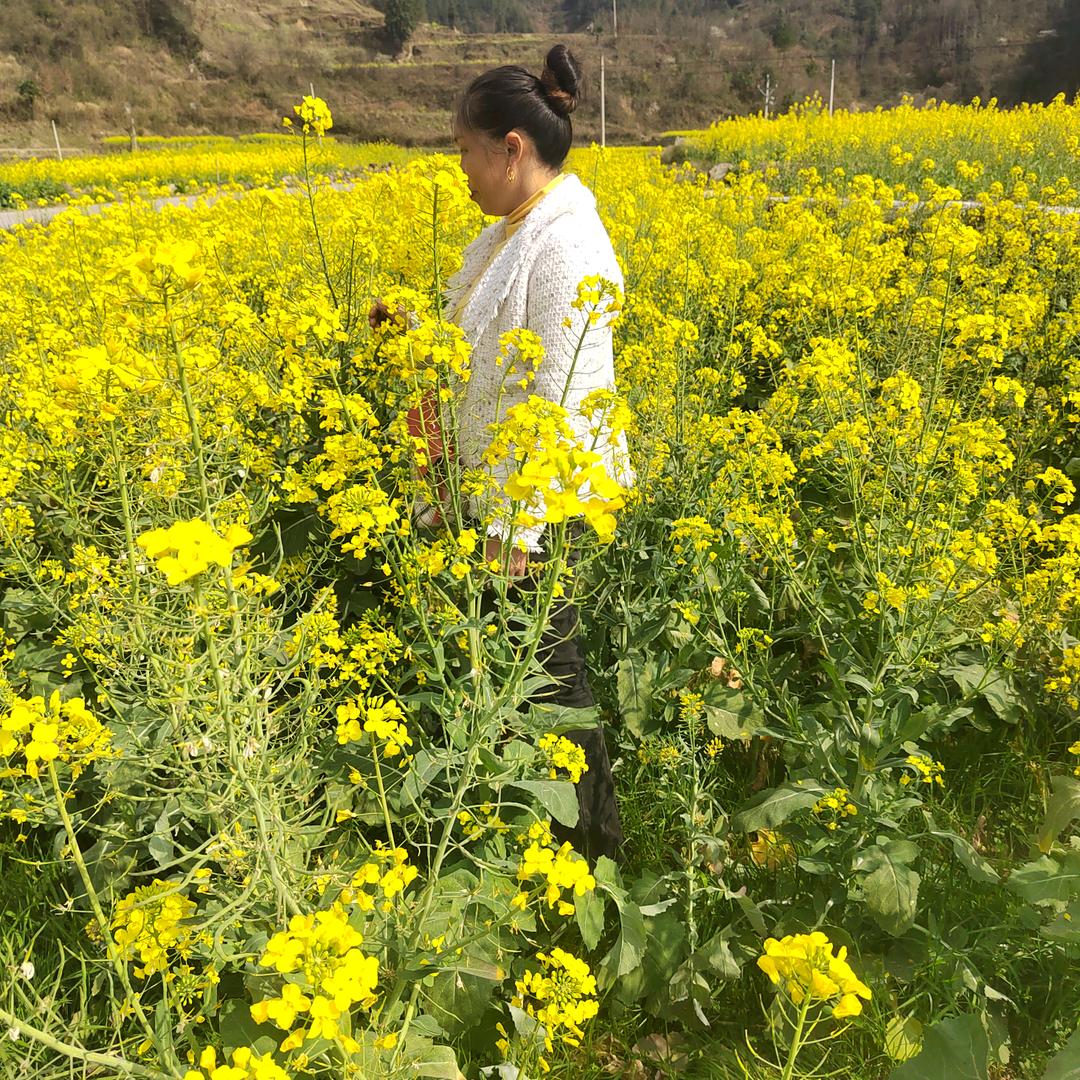 安妹
