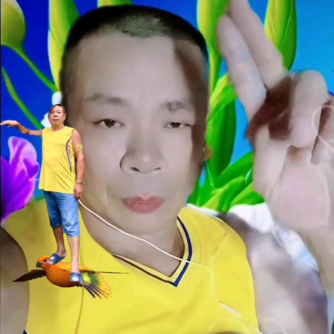 四季如春