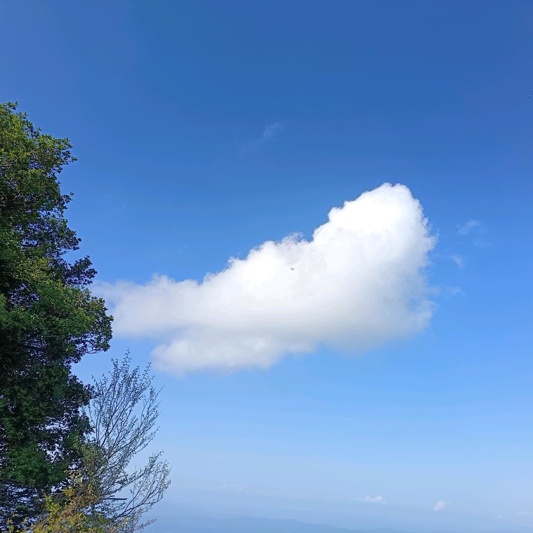 不改初心