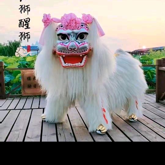 南阳小白狮 宛东舞狮团