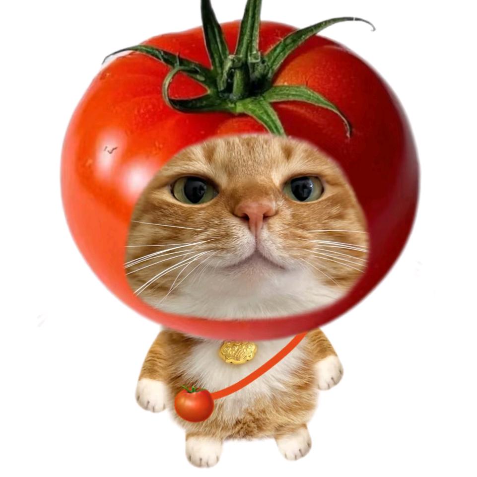 ʕ̯•͡ˑ͓•̯᷅ʔ