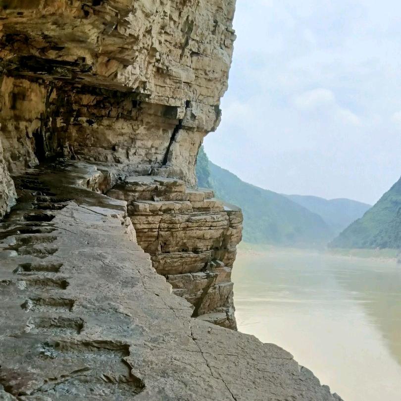 龍！！！！！！