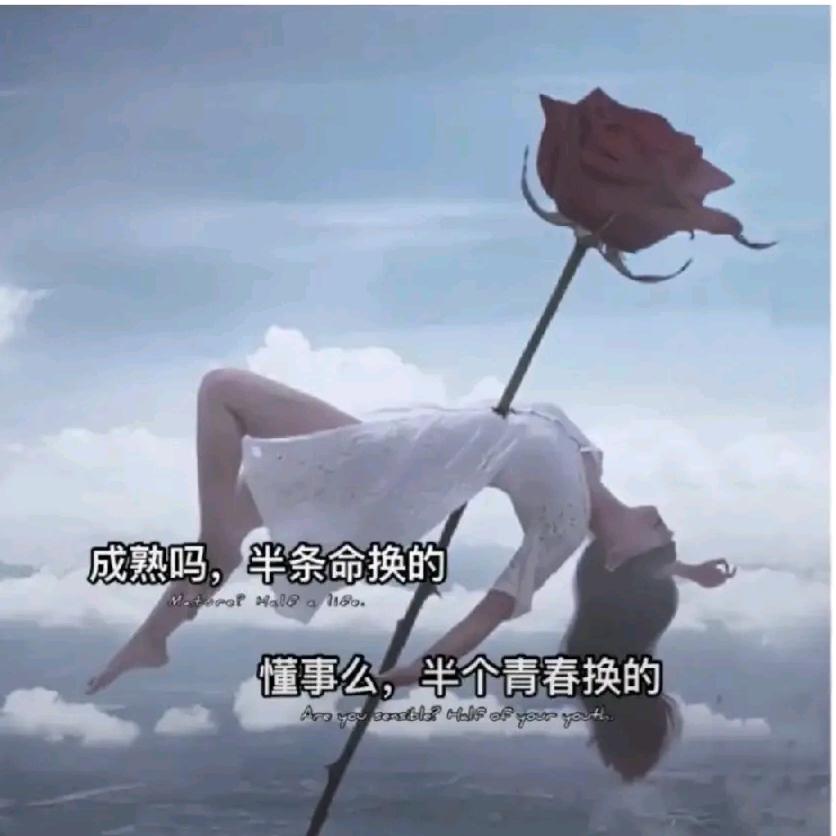 ꧁꫞꯭沉默不语꫞꧂