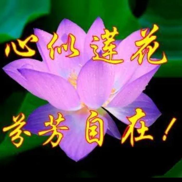 弦月眉心