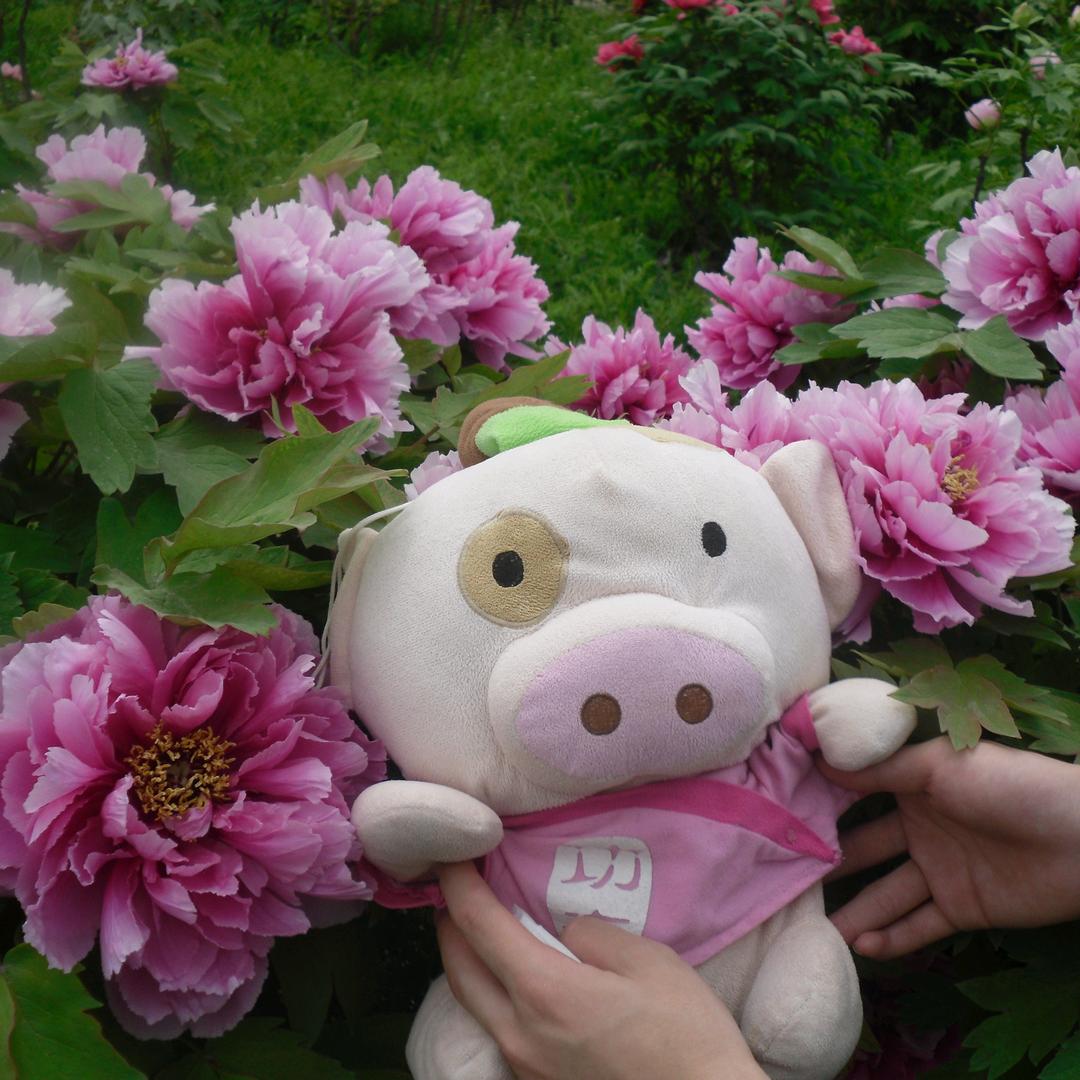 麦兜哥哥的妈妈(拒绝连赞)