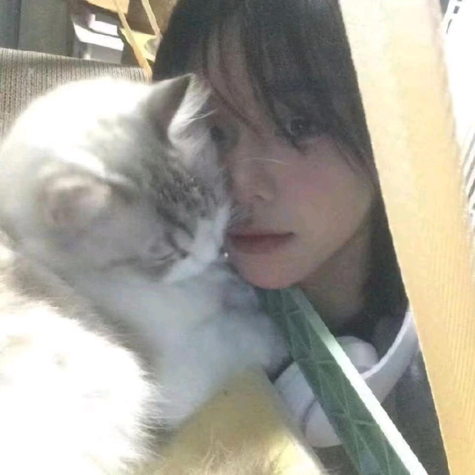咸鸭蛋炒鸡蛋